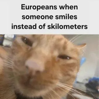 Close-up photo of a squinting cat who almost looks like it is suspicious of something. The photo is captioned "Europeans when someone smiles instead of skilometers".