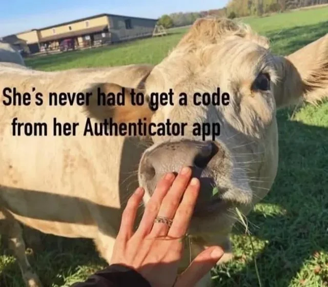 Photo of person booping a cow captioned "She's never had to get a code from her Authenticator app"